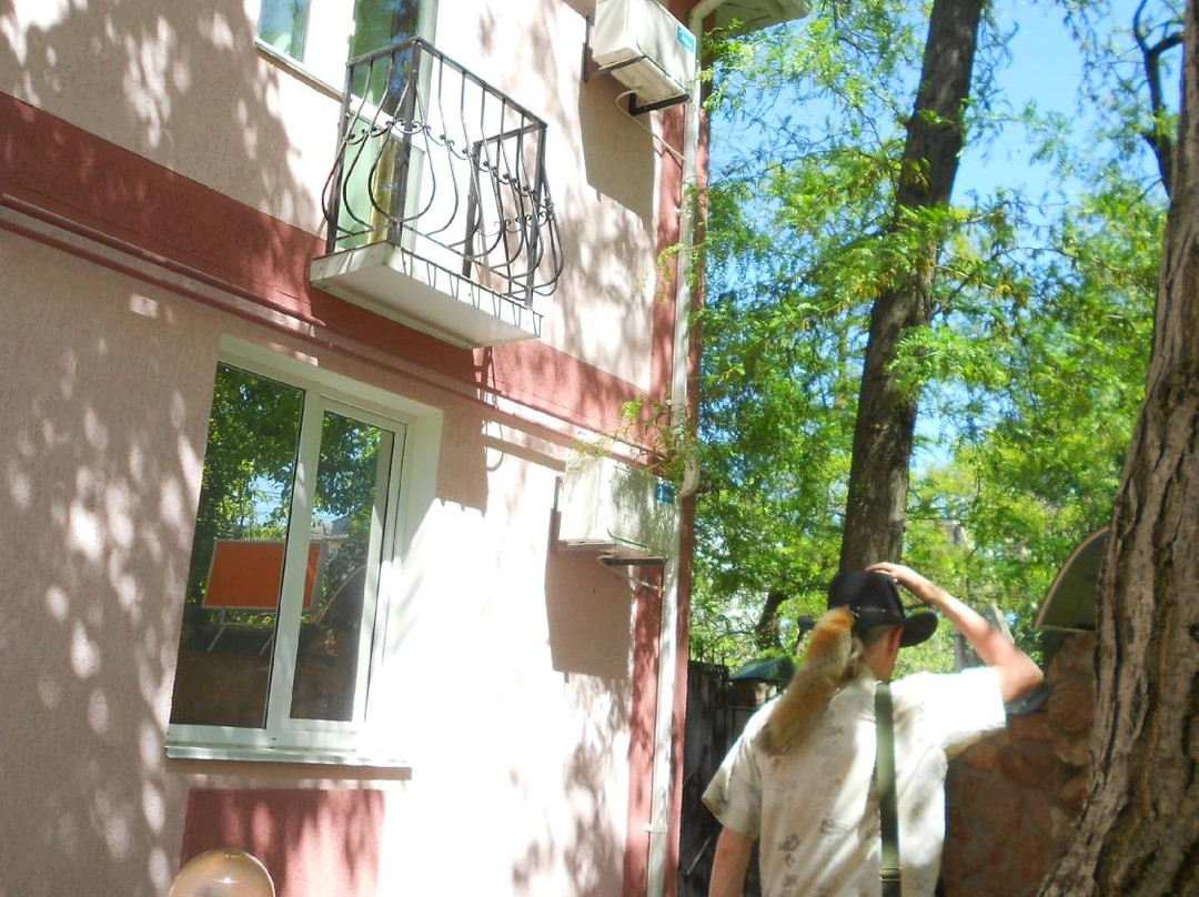 Suvorovskii House Hotel主图