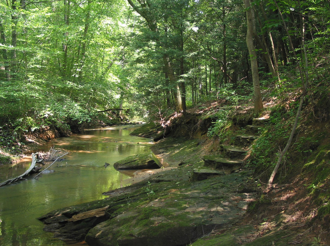 Adawehi Bed & Breakfast主图