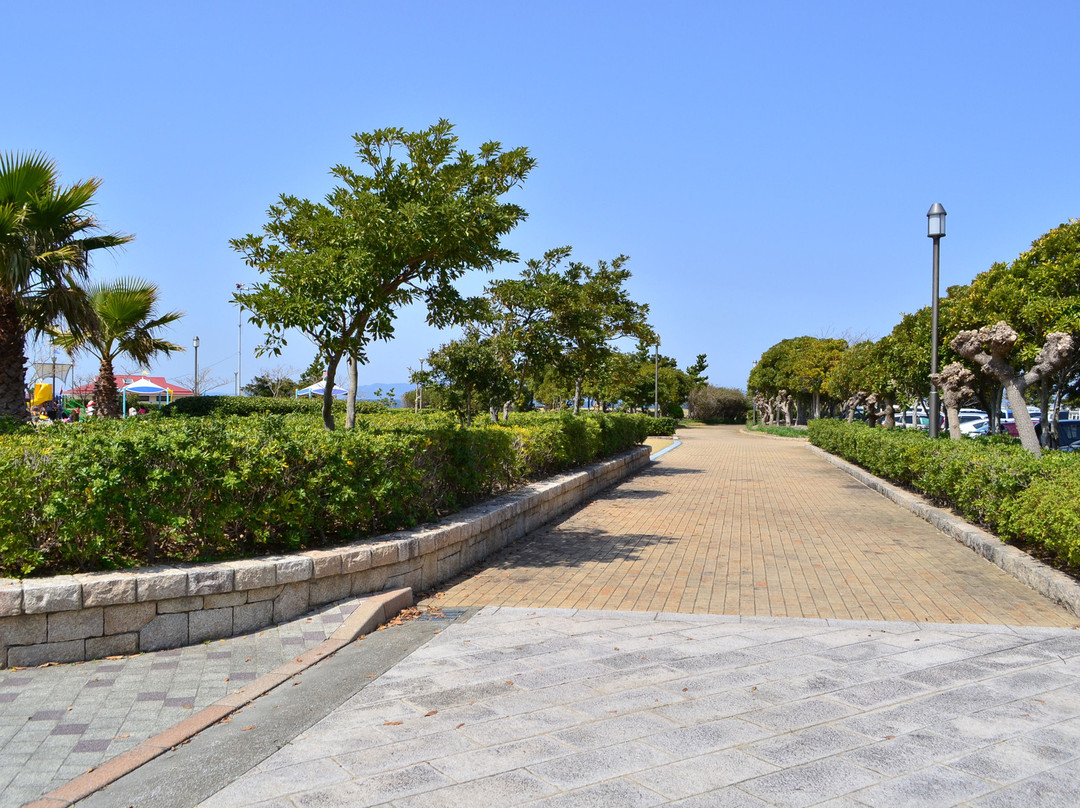 Shiraya Seaside Park-田原市必去景点