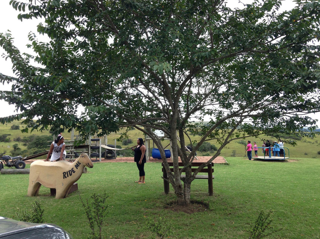 Lake Eland Zip Lines-Port Shepstone必去景点