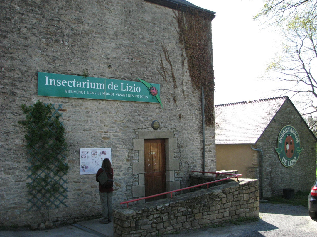 Insectarium de Lizio-Lizio必去景点