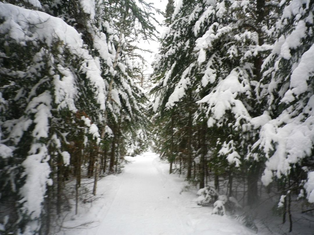 Les Sources Joyeuses-拉马尔拜必去景点