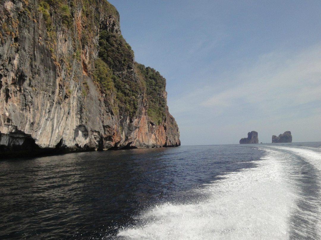 Asian Dolphins Day Tours-普吉镇必去景点
