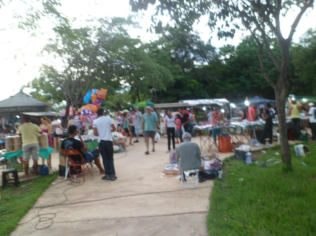 Feira do Bosque-Palmas必去景点