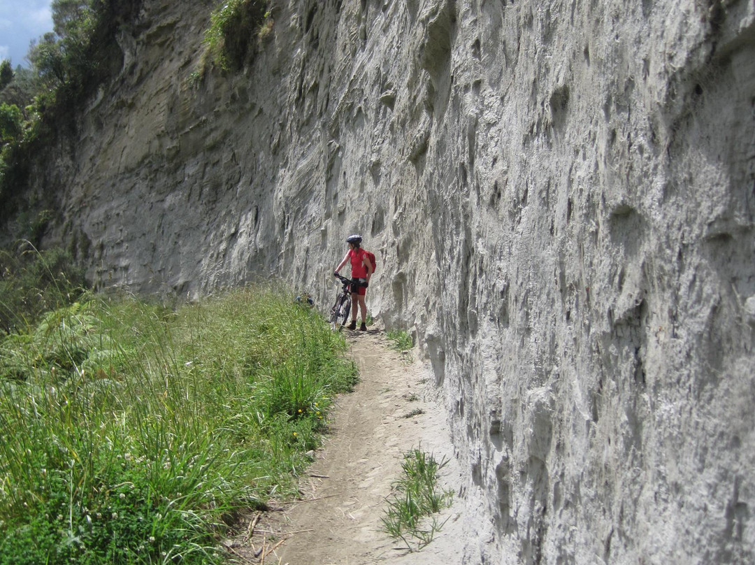 Mountain Bike Station-奥阿库尼必去景点