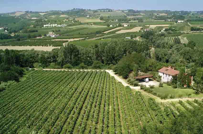 Agriturismo Ca' San Giovanni主图