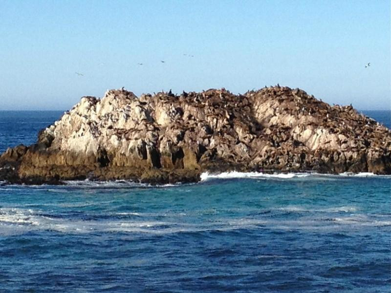 17英里路-蒙特雷必去景点