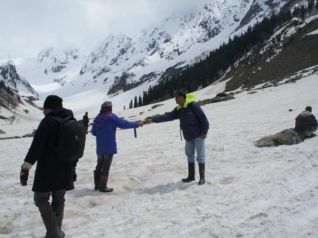 Thajiwas Glacier Sonamarg景点图片