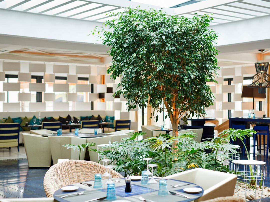 Ghazoua餐馆和美食-L'Atlantique