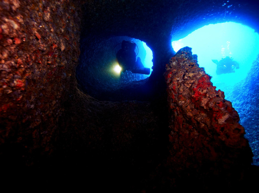 Sarda Divers - Dive Center-Fertilia必去景点