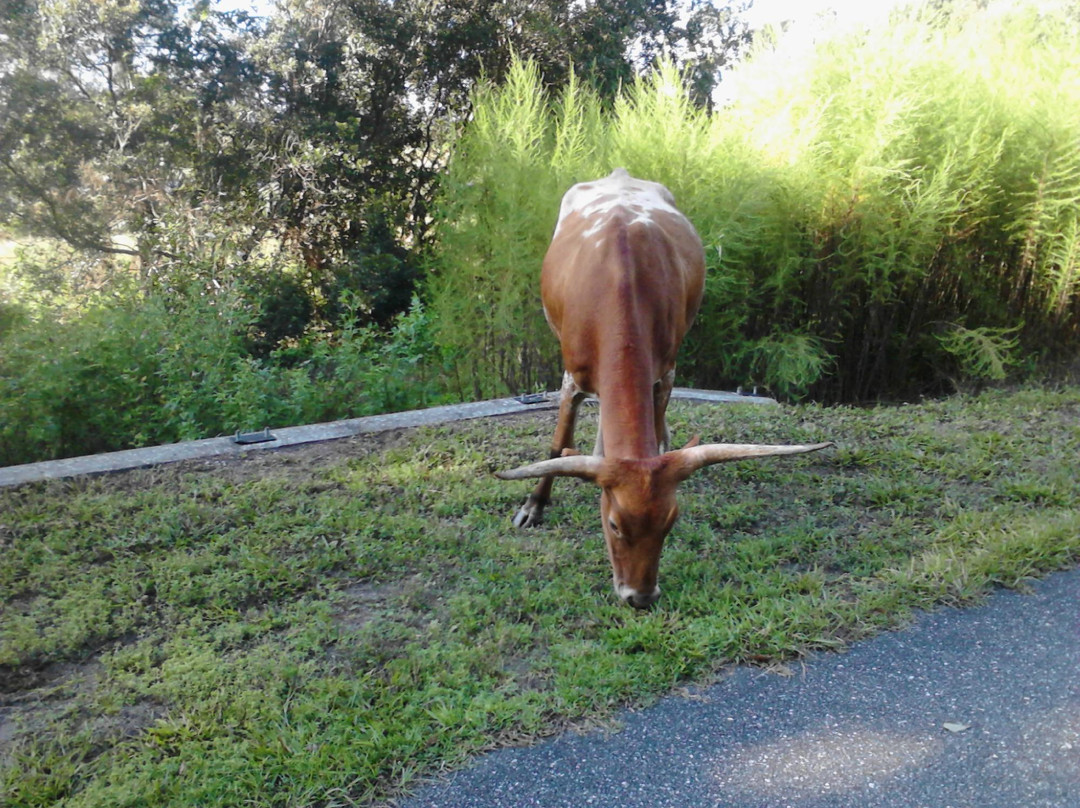 Jacksonville-Baldwin Rail Trail-杰克逊维尔必去景点