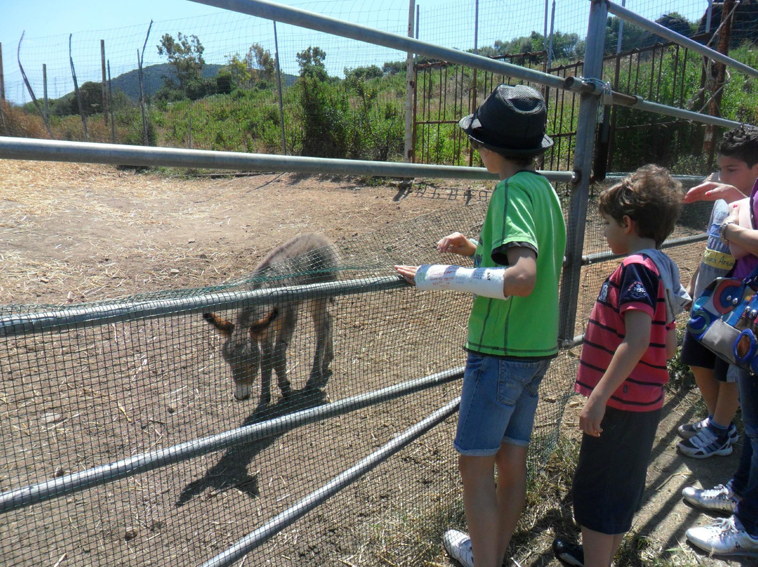 Parco Degli Angeli-Giba必去景点