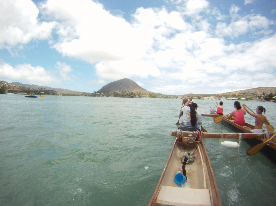 Hawaiian Surf Adventures-火奴鲁鲁必去景点