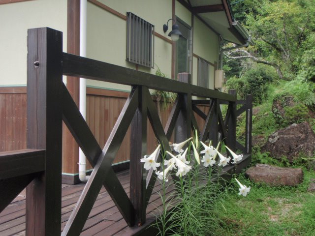 Cottage Woodpeck主图