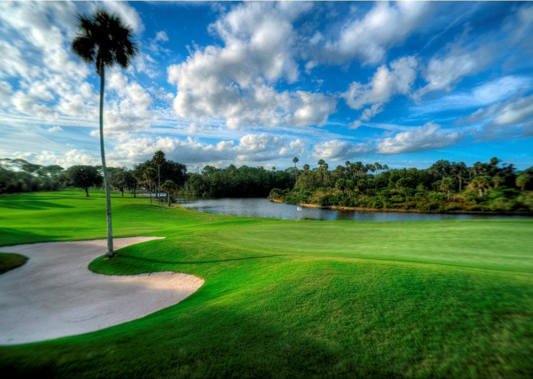 Palm Harbor Golf Club景点图片