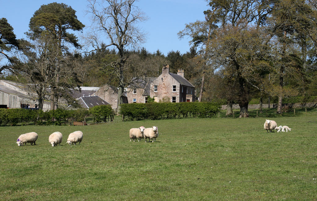 Morebattle酒店住宿-Harden Mains