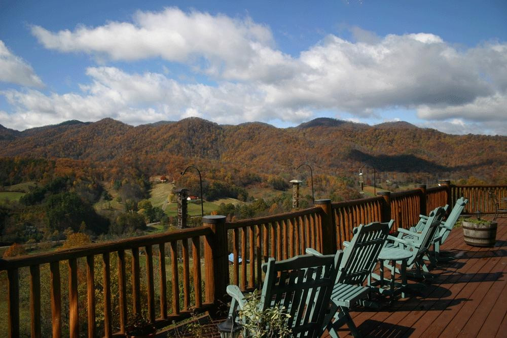 Leicester酒店住宿-莓果 B&B 旅馆