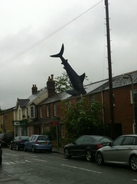 Headington Shark景点图片