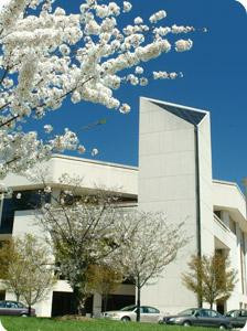 Center for the Arts景点图片