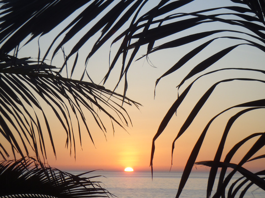 Vichayito Beach Bar & Hotel主图