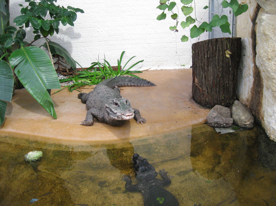 Zoo Vivarium Darmstadt-达姆施塔特行政区必去景点