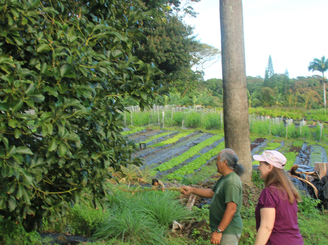 Hāna Fresh-哈纳必去景点
