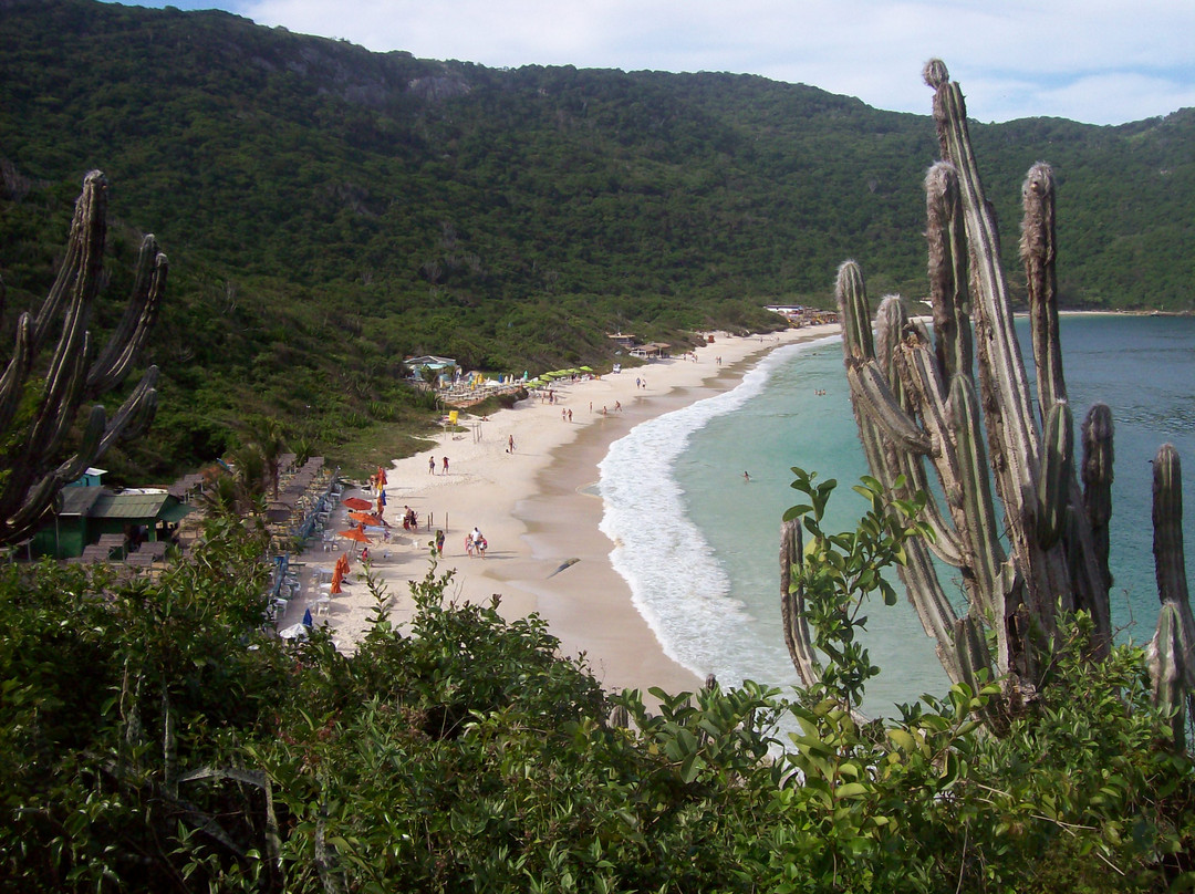 Forno Beach景点图片