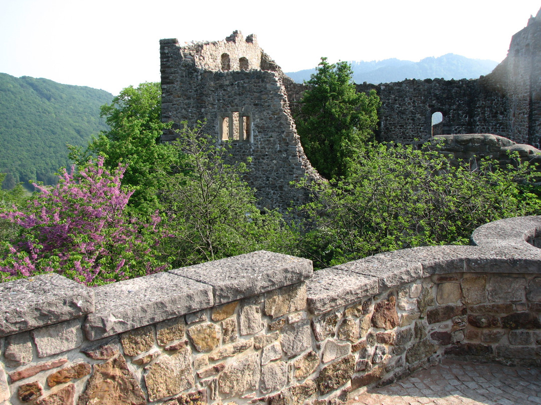 Burg Badenweiler景点图片