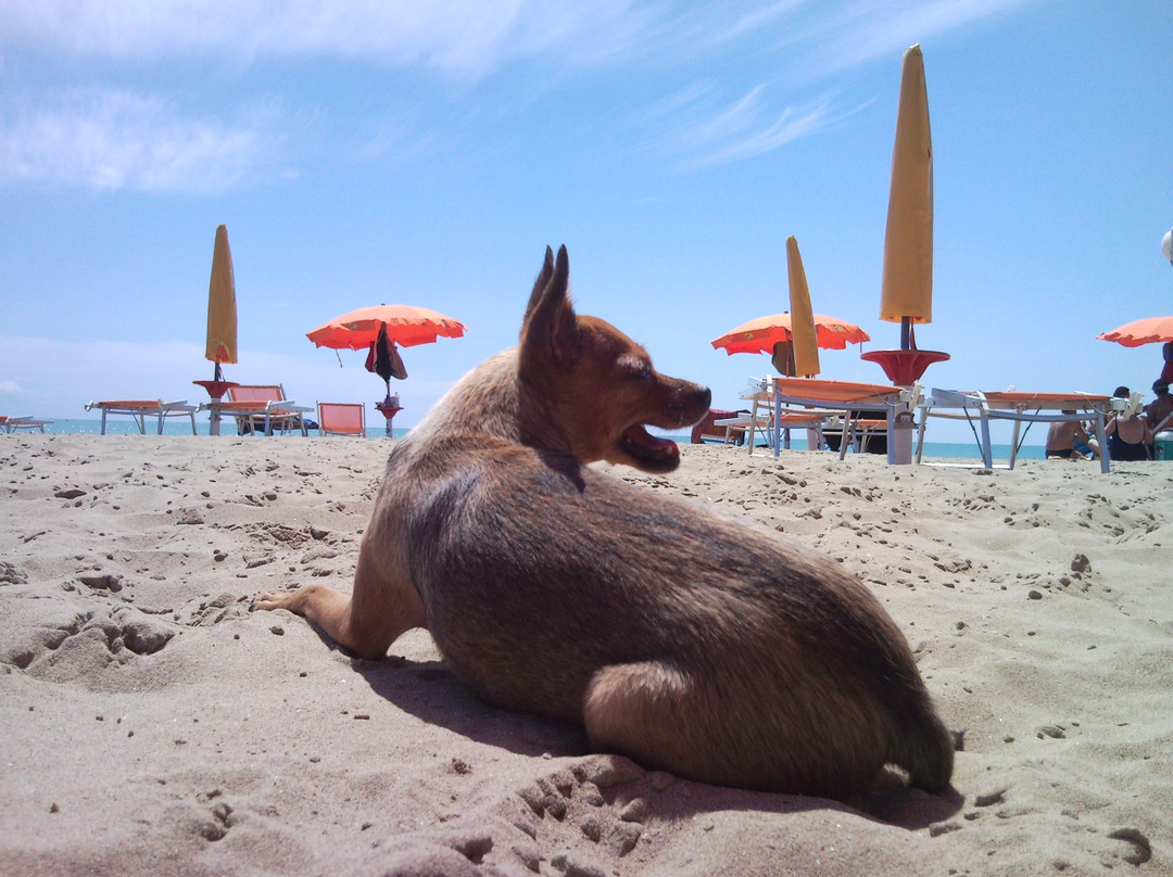 La spiaggia di Pluto景点图片