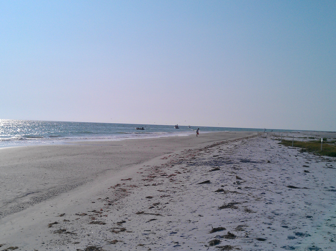 Encore Sailing Charters-Apollo Beach必去景点