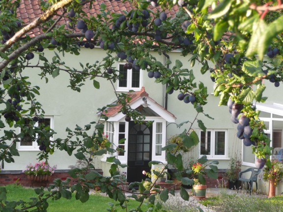 Aginhills Farmhouse-官方