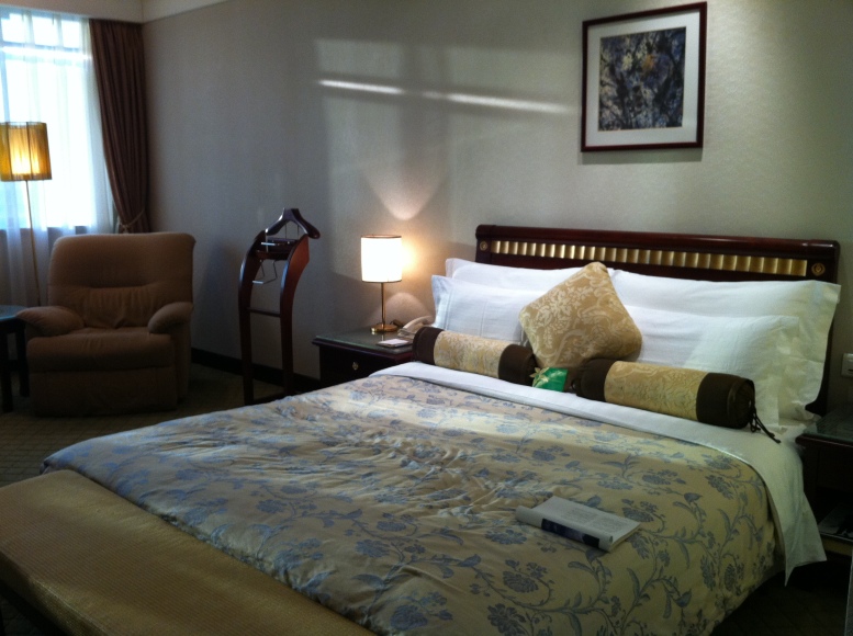 深圳五洲宾馆-客卧