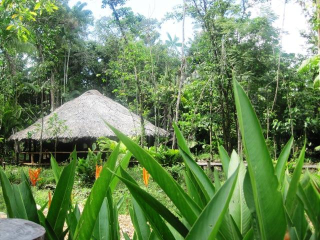 Waro Waro Lodge