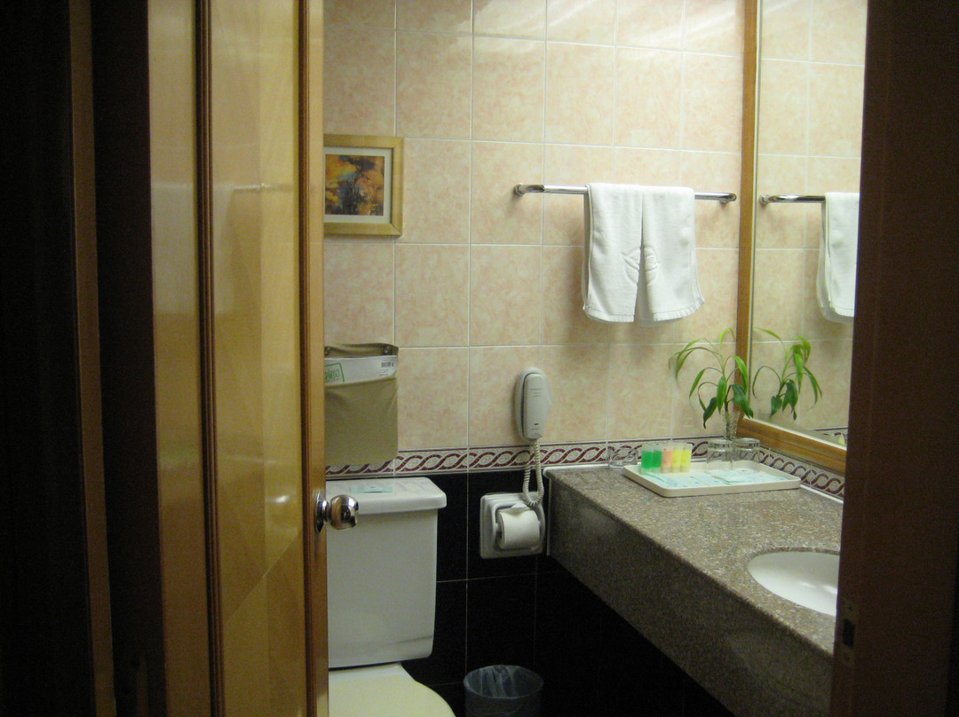 航空金雁酒店主图