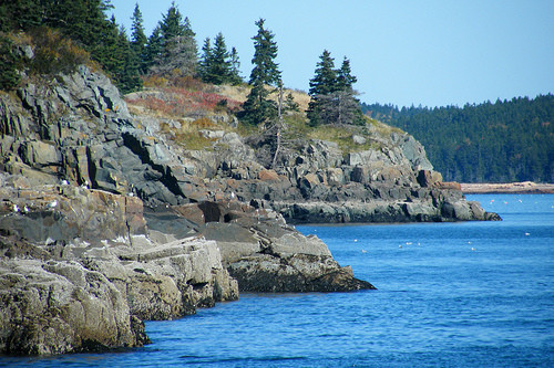 Acadian Boat Tours-巴港必去景点