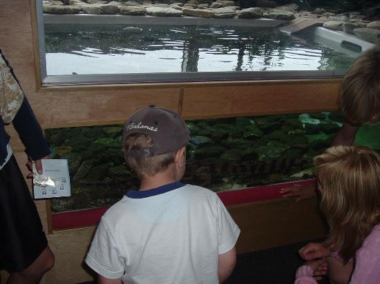 Virginia Aquarium & Marine Science Center-弗吉尼亚海滩必去景点