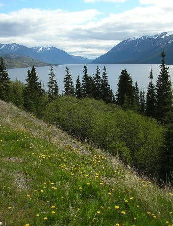 白色隘口育空铁路-史凯威必去景点