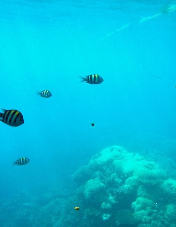 Quicksilver Cruises-道格拉斯港必去景点