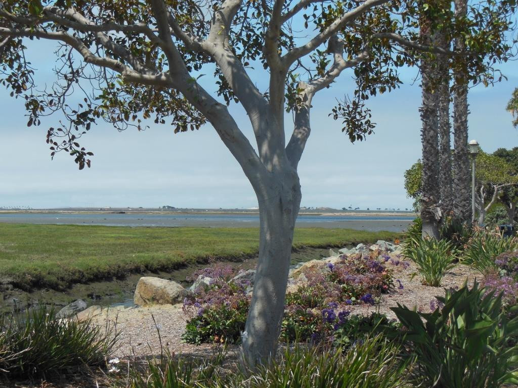 Marina View Park-丘拉维斯塔必去景点