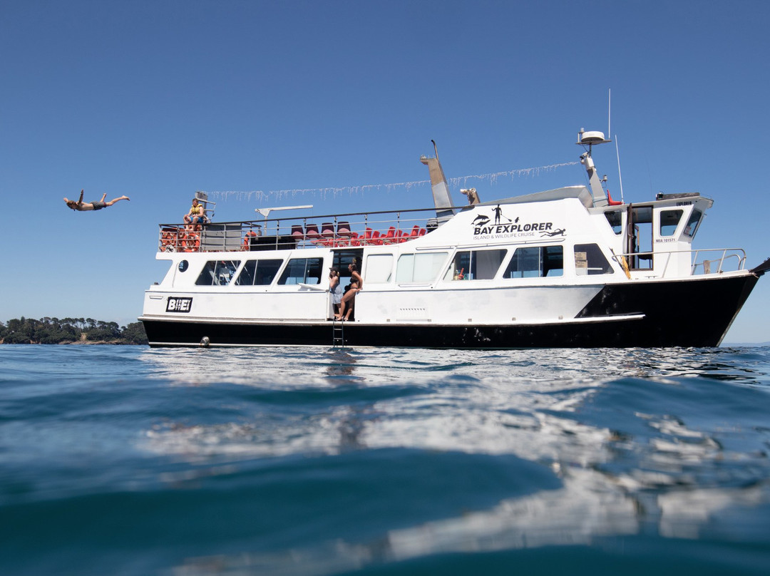 Bay Explorer Dolphin and Wildlife Cruise景点图片