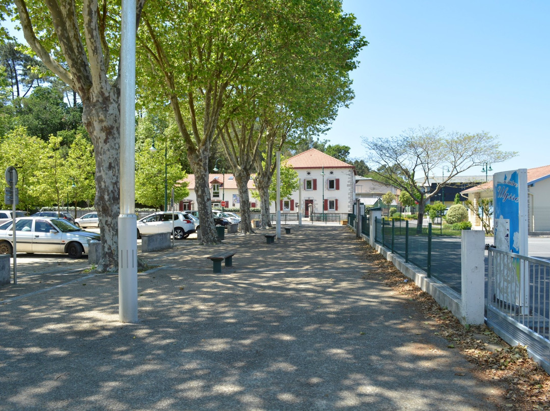 Eglise Saint-Nicolas景点图片