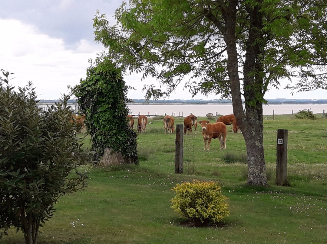 Camping Municipal Gabarreys