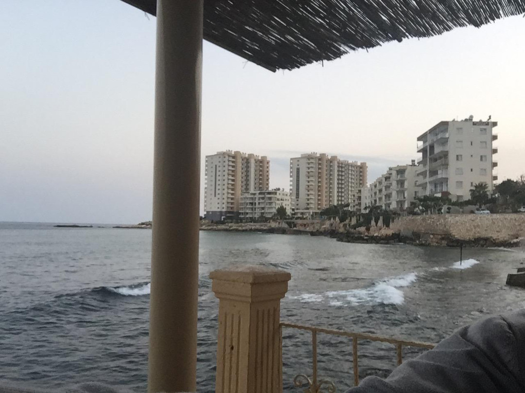 Erdemli餐馆和美食-ERCAN BALIK RESTAURANT