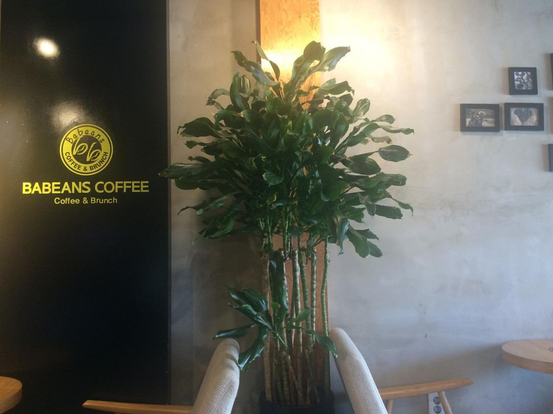 井邑市餐馆和美食-Ba Beans Coffee