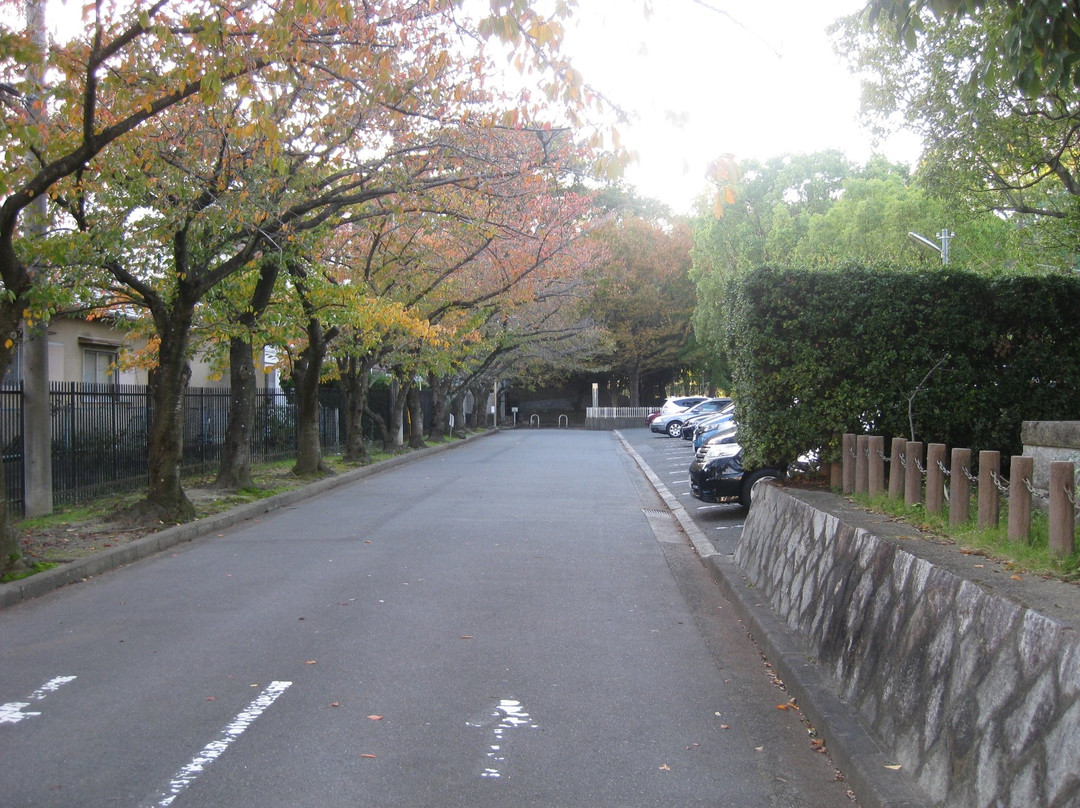 Nishigawara Park景点图片