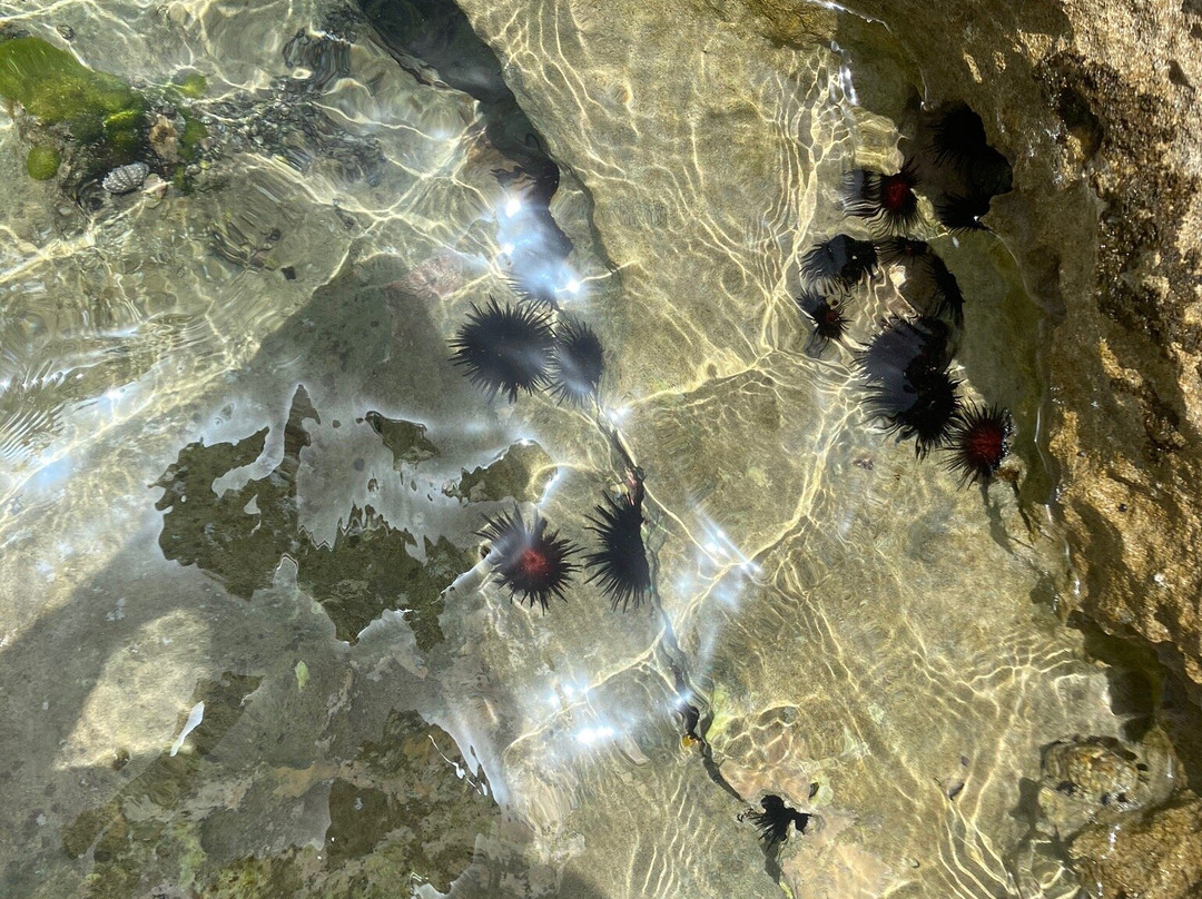 Piscinas Naturales-Manati必去景点