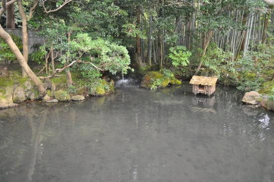 南禅寺景点图片