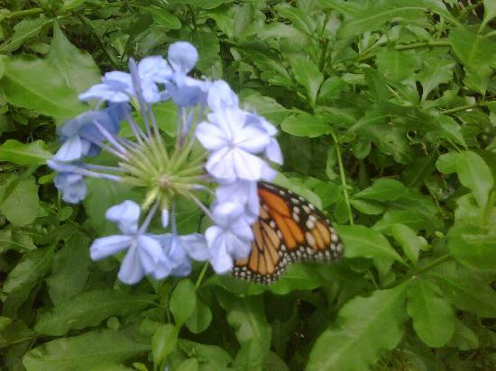 Bronx Zoo-布朗克斯必去景点