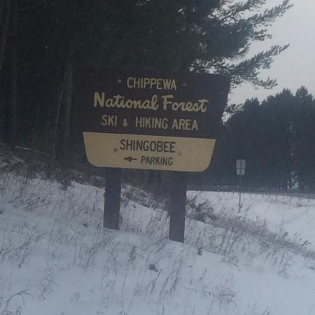 Shingnobee Recreation Area-Walker必去景点