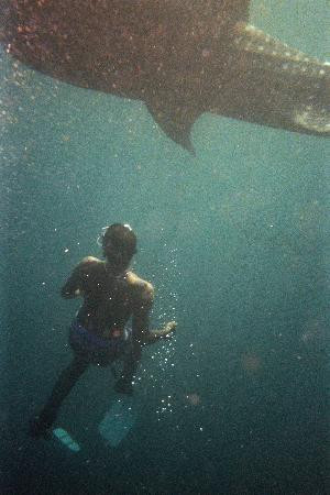 Arta Beach-Arta必去景点